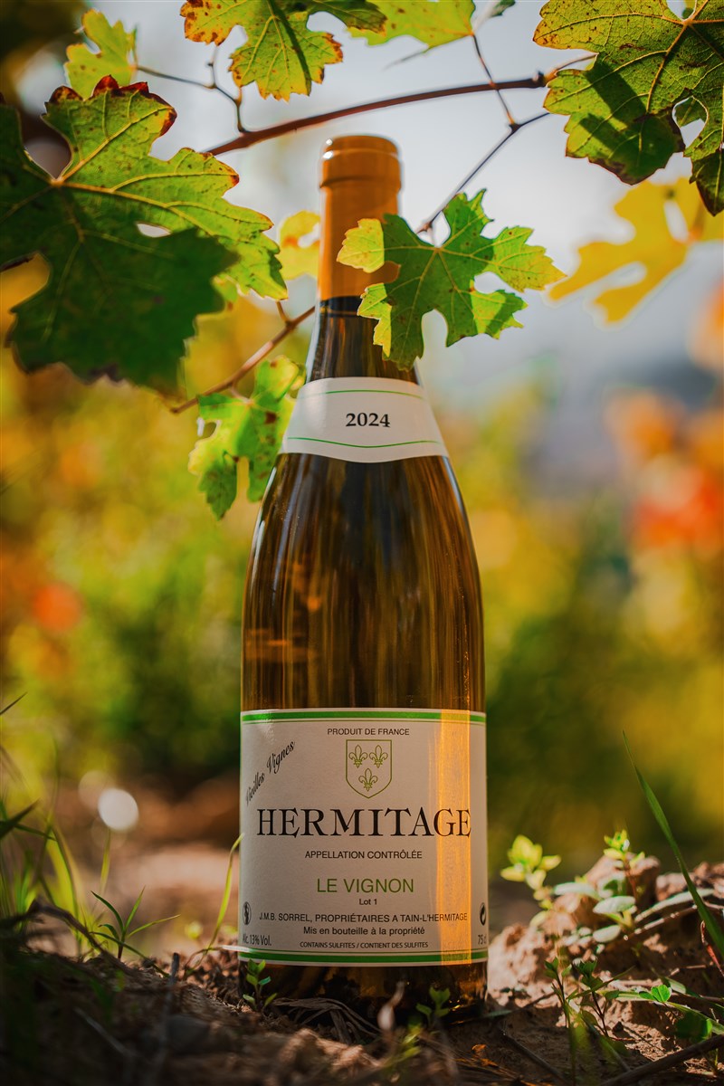 domaine sorrel octobre25 dorianc 085
